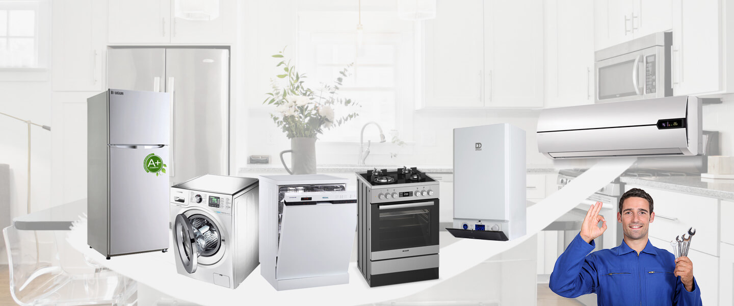 Sındırgı Vaillant Servisi